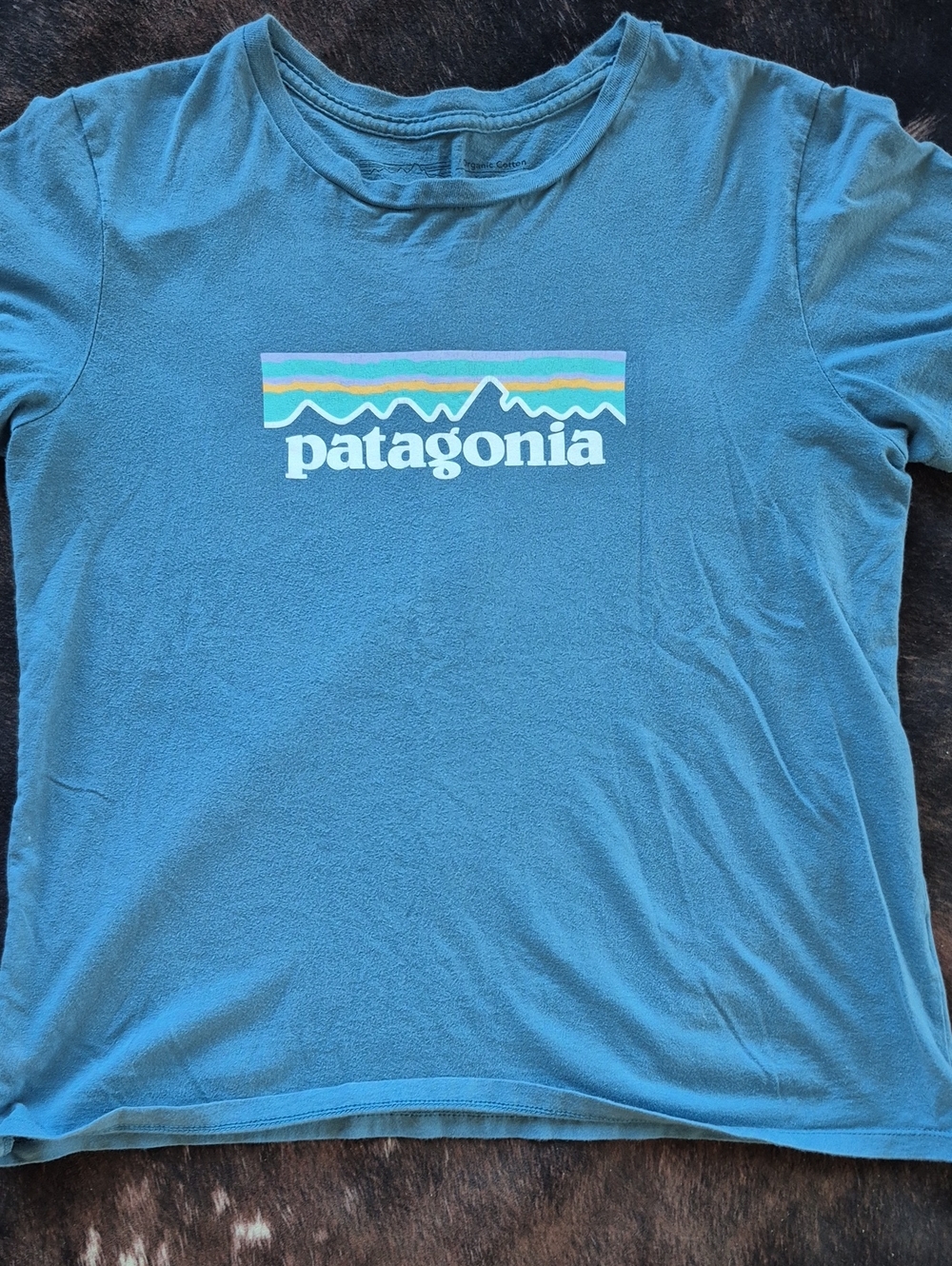 Patagonia Teal Short Sleeve Logo Tee